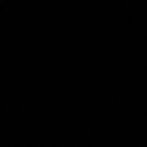 Meet your Posher, Bella